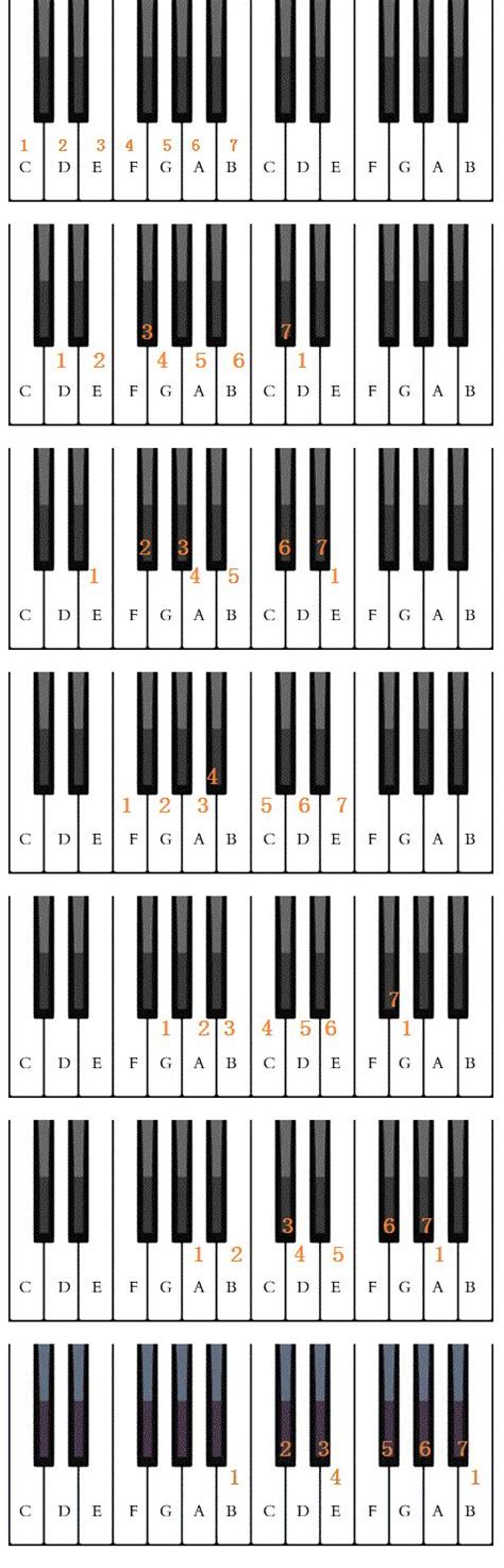 T-03-61键少儿电子琴学习键盘黑白钢琴练习纸指法练习简谱对照版-阿里巴巴