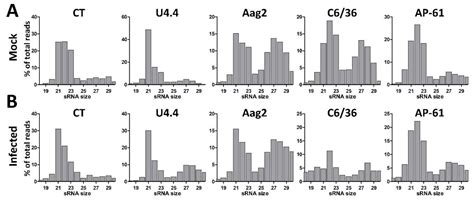 Mosquito Small RNA Responses to West Nile and Insect-Specific Virus ...
