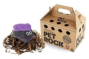 Super Impulse The Original Pet Rock - Contains One Officially Pedigreed ...