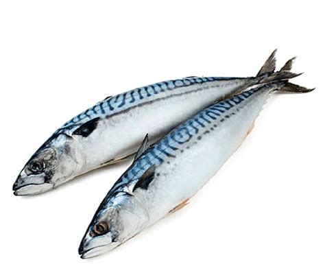 Замороженная рыба ВкусВилл / Избёнка Скумбрия атлантическая ...