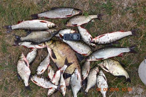 Ночівля на річці Горинь - Rivnefish