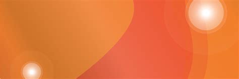 Banner Background Vector 的图像结果