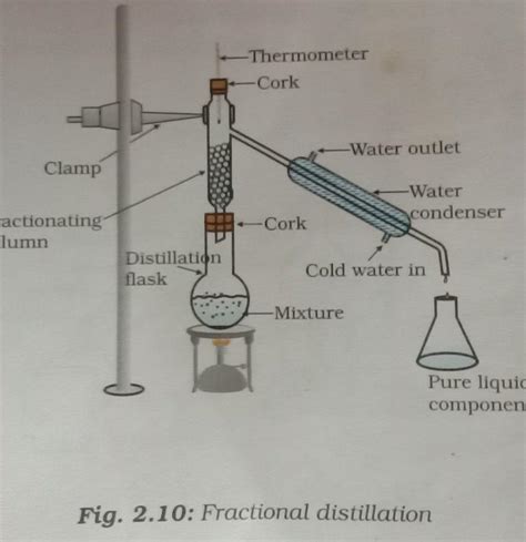 7) Draw a labeled diagram of the experimental set up used for ...
