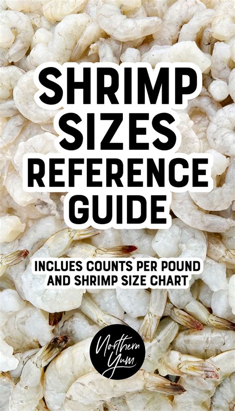 Shrimp Types And Sizes at Christy Pung blog