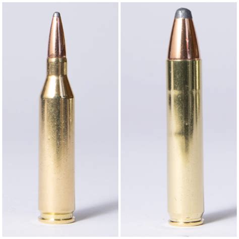 350 Legend vs 243: Best Deer Cartridge Showdown