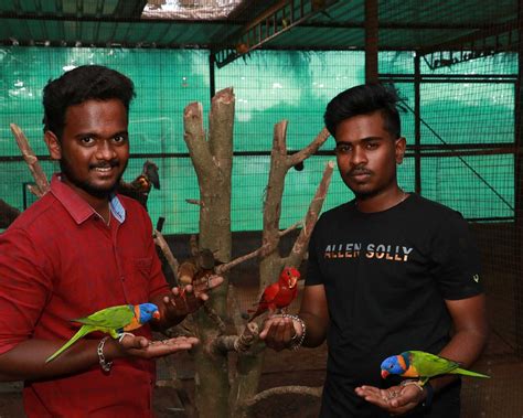 THE 10 BEST Places to Visit in Yelagiri (2024) - Must-See Attractions