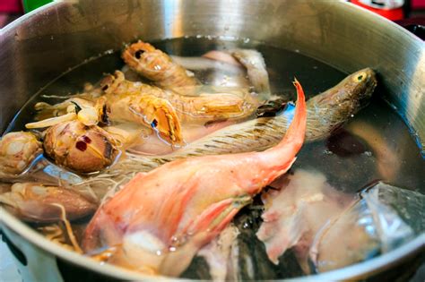 Scallop | What it is, Characteristics and Properties | Dolphin