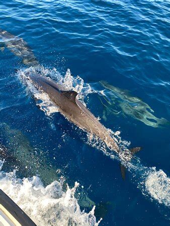 Yatra Tour Sri Lanka (Unawatuna) - All You Need to Know BEFORE You Go