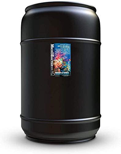 Buy Brightwell Aquatics MicroBacter Clean - Microbial Culture & Enzyme ...
