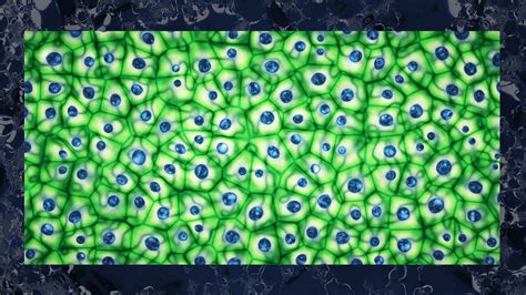 Image result for Alien Phenomenon