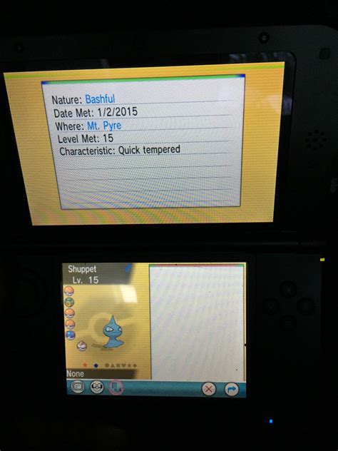 Image result for Shiny Hunting Omega Ruby