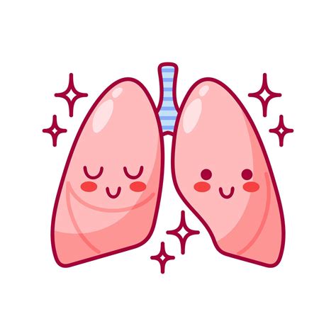 Lungs. Cute cartoon characters in kawaii style. Healthy organ, respiratory system. illustration ...