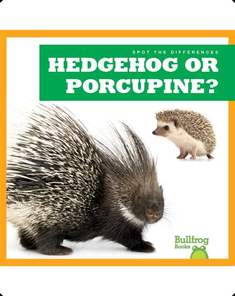 Spot the Differences: Hedgehog or Porcupine? Book by Jamie Rice | Epic