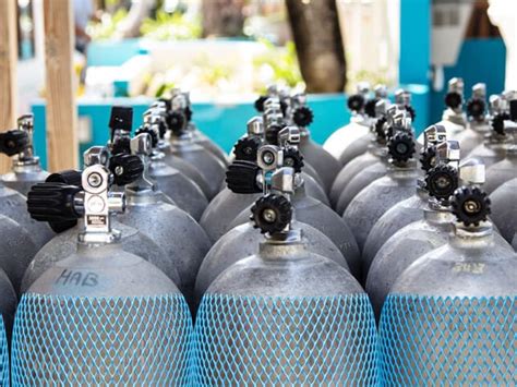 Image result for MasterNet