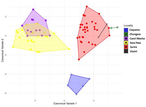 Unveiling the Wing Shape Variation in Northern Altiplano Ecosystems ...