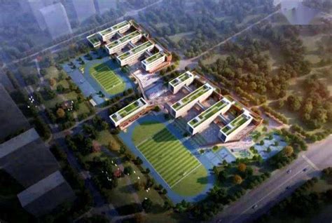 厦门外国语学校石狮分校将开工建设 学位4380个 - 科教文卫 - 东南网泉州频道