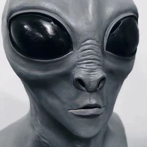 Image result for Alien Face Mask