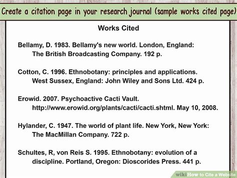 Source Page Example 的图像结果