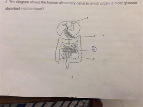 Choose the correct option Show your own explanation for this question ...