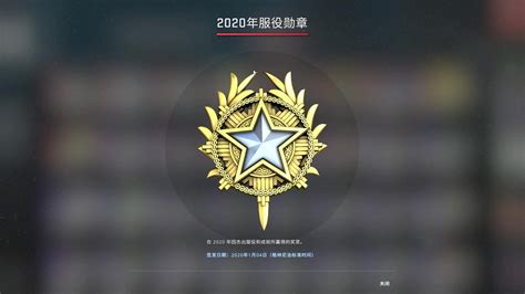 CSGO 2020年服役勋章_哔哩哔哩_bilibili