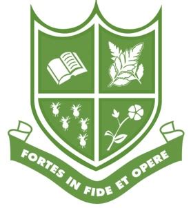 Image result for Transfer Transcript. Logo