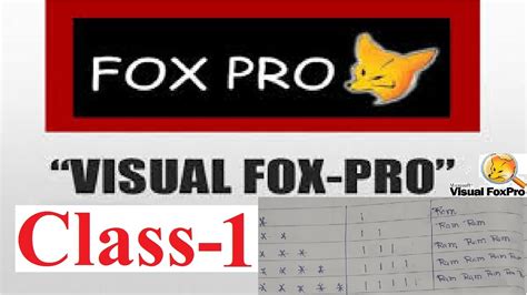 Image result for Fox Pro Programmer