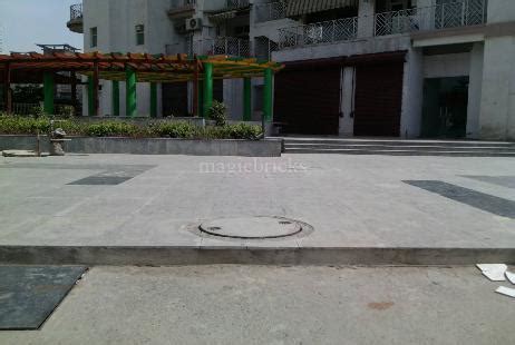 Amrapali Eden Park in Sector 50, Noida: Price, Brochure, Floor Plan ...