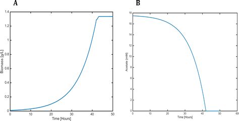 Image result for Exponential Function Graph