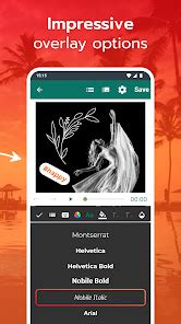 Image result for Image Overlay Video Editor