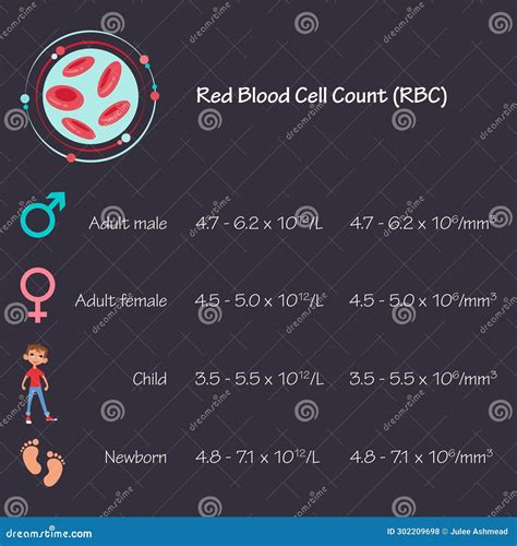 Red Blood Cell RBC Blood Test Medical Vector Illustration Infographic Stock Vector ...