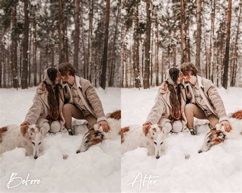5 Cozy Winter Lightroom Presets, Mobile and Desktop, Winter Outdoor ...