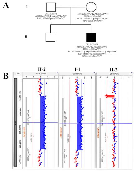 Medicina | Special Issue : Atypical Autism: Causes, Diagnosis, and Support