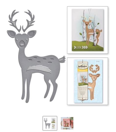 Image result for Spellbinders Cards