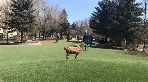 BONNYCASTLE DOG PARK (2025) All You Need to Know BEFORE You Go (with ...