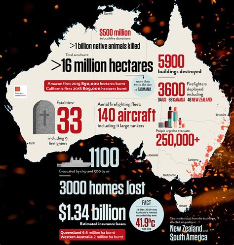 A black summer - Australian Geographic