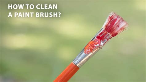 How To Clean Paintbrushes? - WD40 India