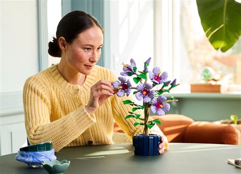 New LEGO Botanicals August 2025 sets include Mini Bonsai Trees and ...