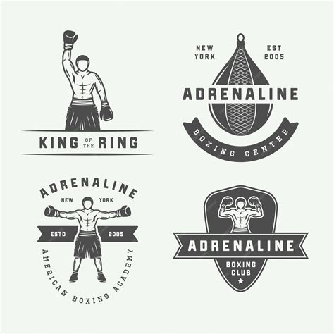 Boxing Futures Logo 的图像结果