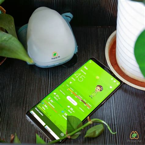 Here Our Quick tips to protect yourself from air pollution while ...