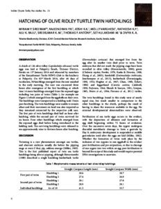 Hatching of Olive ridley turtle twin hatchlings - CMFRI Digital Repository
