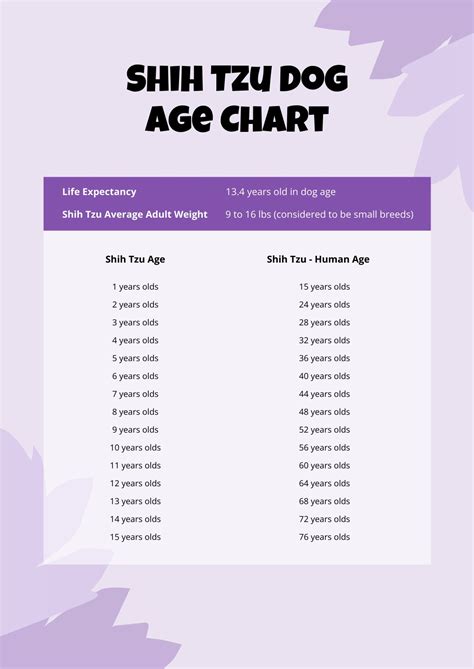 Your Dog39s Age In Human Years A Conversion Chart Pets Dogs Pets