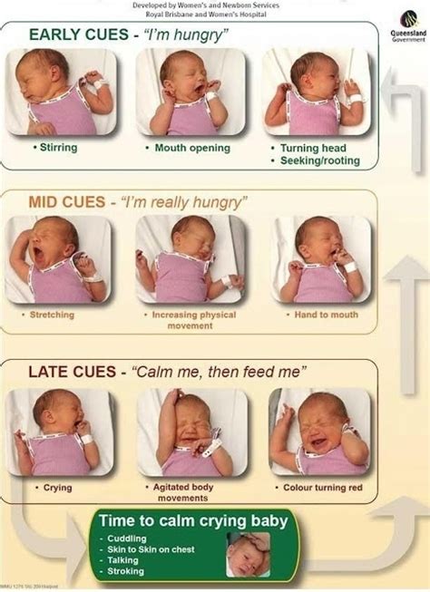 Hungry Baby Cues | LoveToTeach.org
