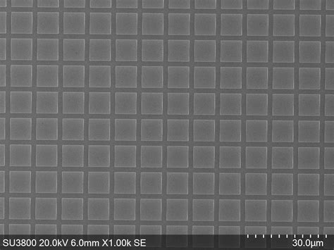 Best Scanning Electron Microscopy (SEM) Services in Gujarat | Parul ...