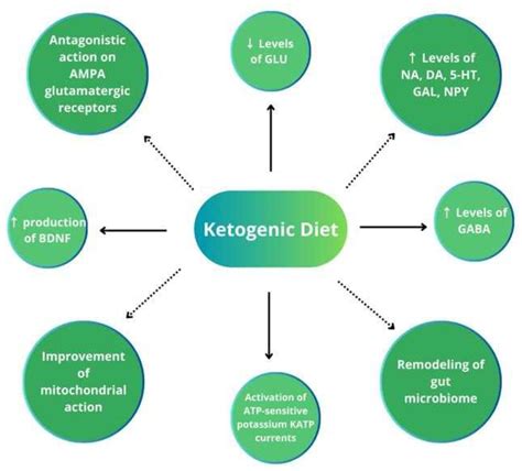Ketogenic Diet in the Treatment of Epilepsy