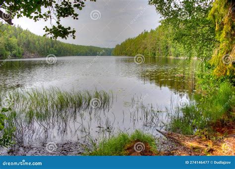 Image result for Internship Blog Example