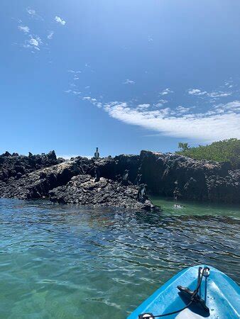 Paddle To The Penguins (Puerto Villamil) - 2022 What to Know Before You ...