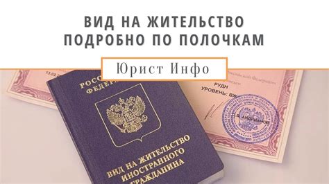 Вид на Жительство - Как получить ВНЖ в России в 2021 году, пошаговая ...