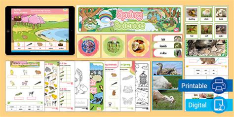 Animals in Spring Science Learning Center Activity Pack