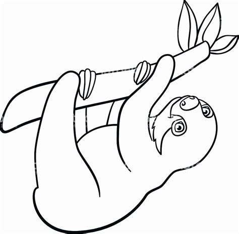 Image result for Sloth Coloring Pages