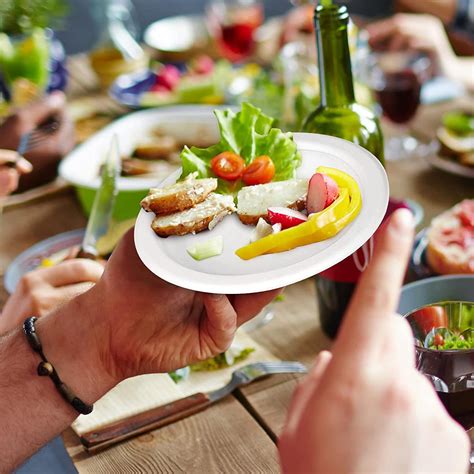 Buy VIK® 6 Inch Round Sugarcane Bagasse Disposable Plates (Pack of 25 ...